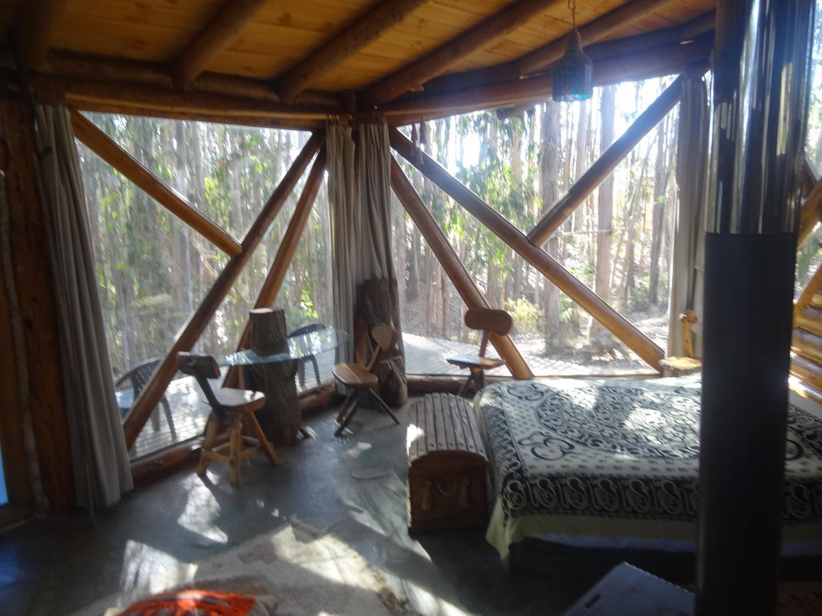 Alojamento Curi-huapi Isla Negra