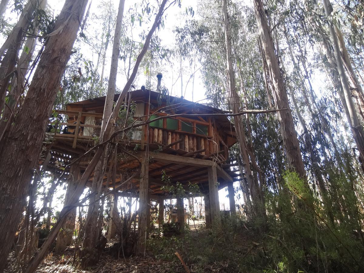 Alojamento Curi-huapi Isla Negra