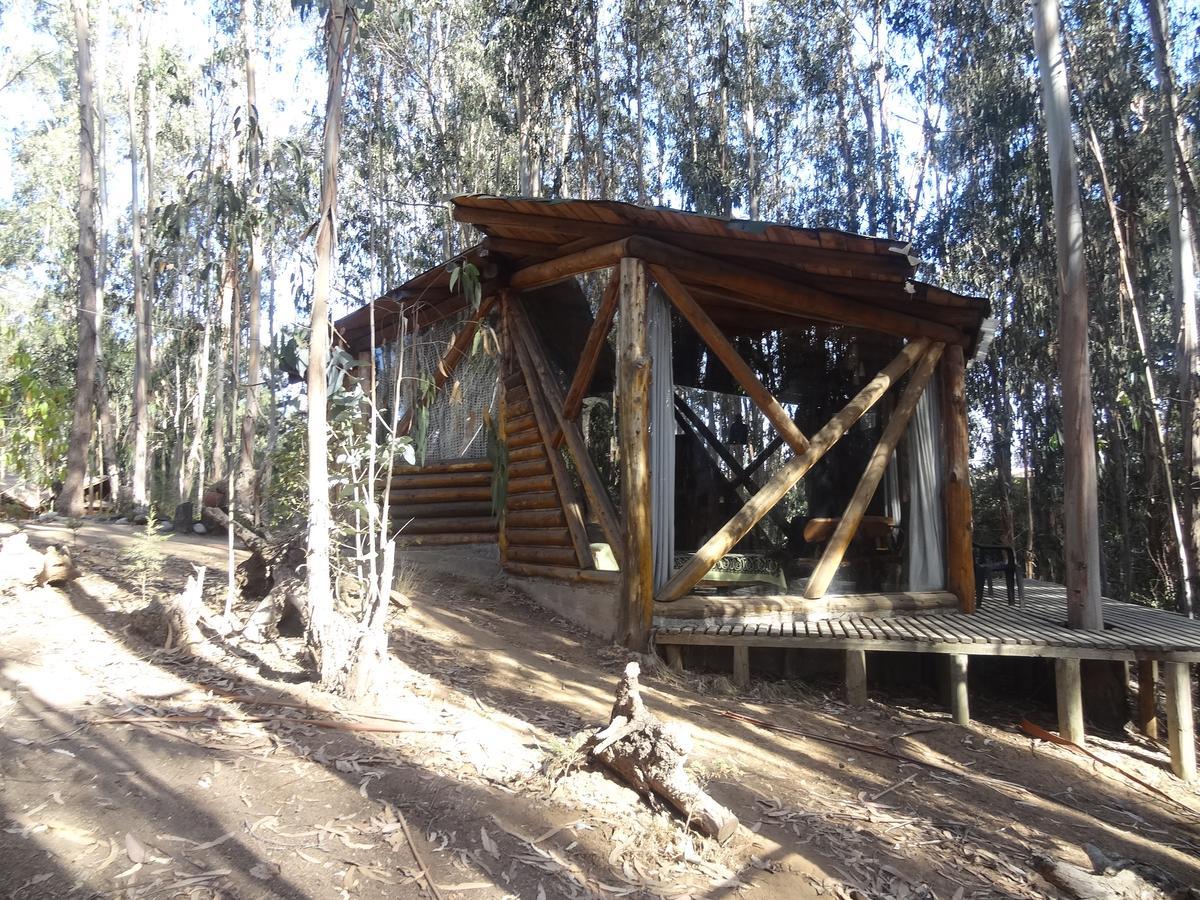 Alojamento Curi-huapi Isla Negra
